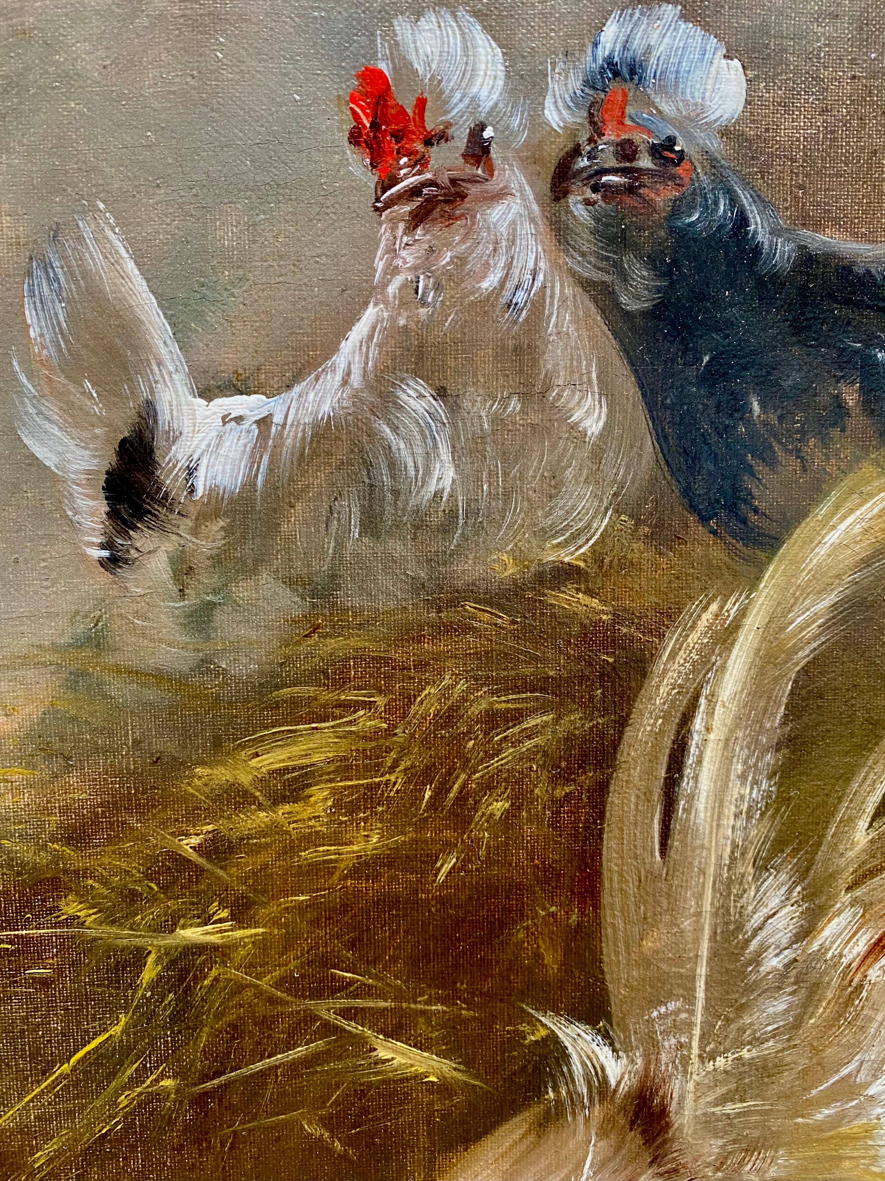 Combat de coqs