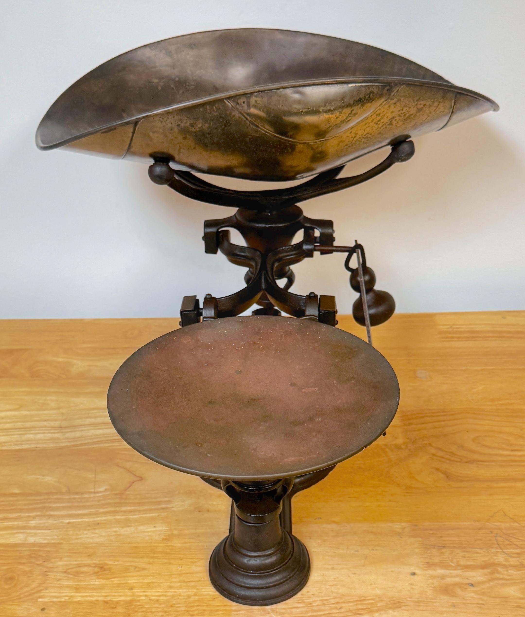 Botica Henry Troemner Hierro fundido y metal  Balanza nº 1, circa 1890s en venta 5