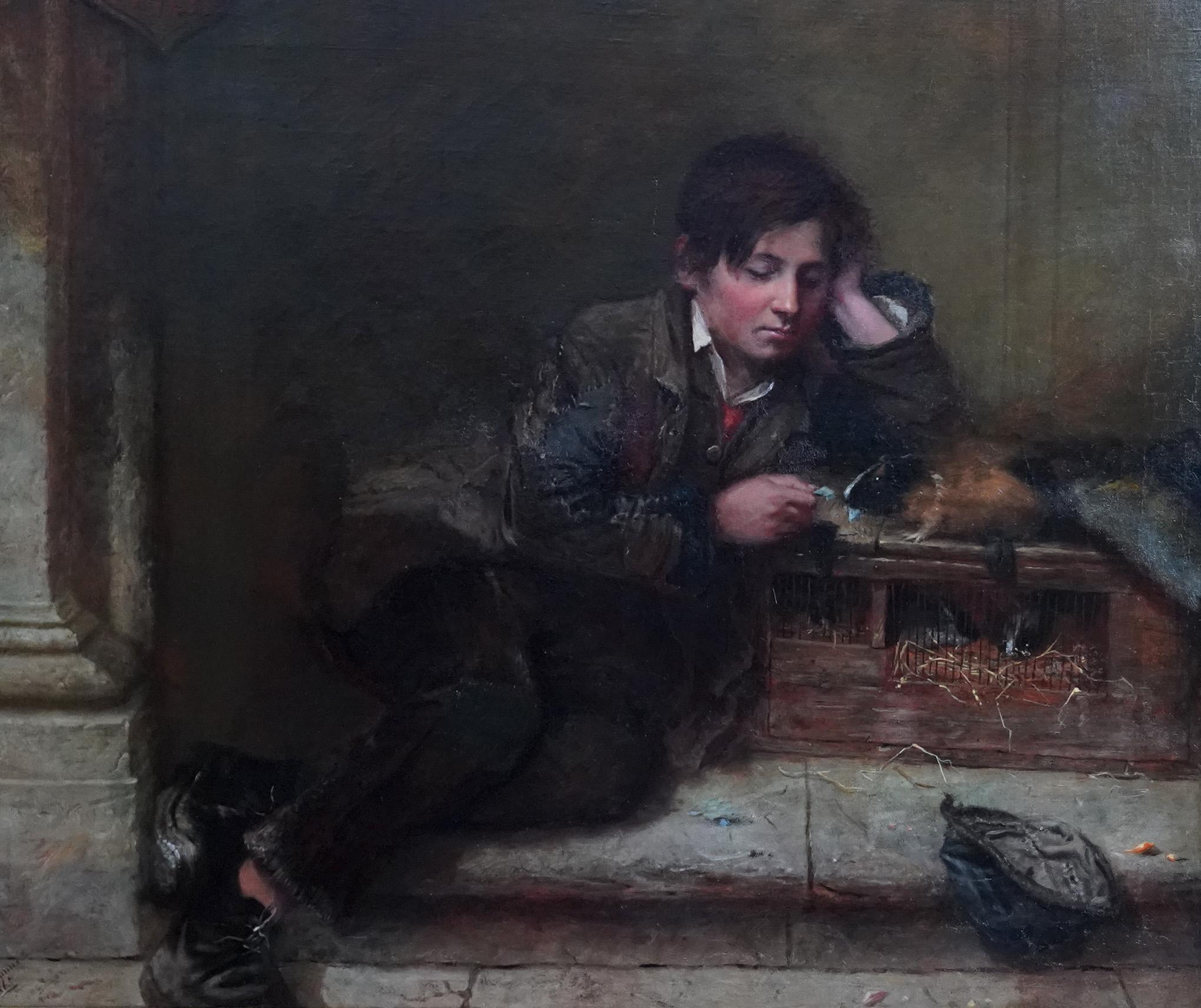 Junge mit Guinea-Fisch – britische viktorianische Tierkunst, männliches Porträt, Ölgemälde (Alte Meister), Painting, von Henry Turner Munns