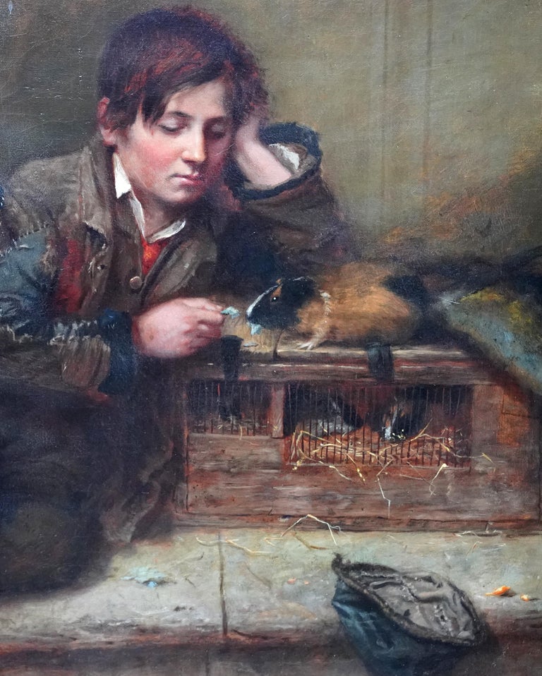 Henry Turner Munns The Favoured Guinea Pig British Victorian animal