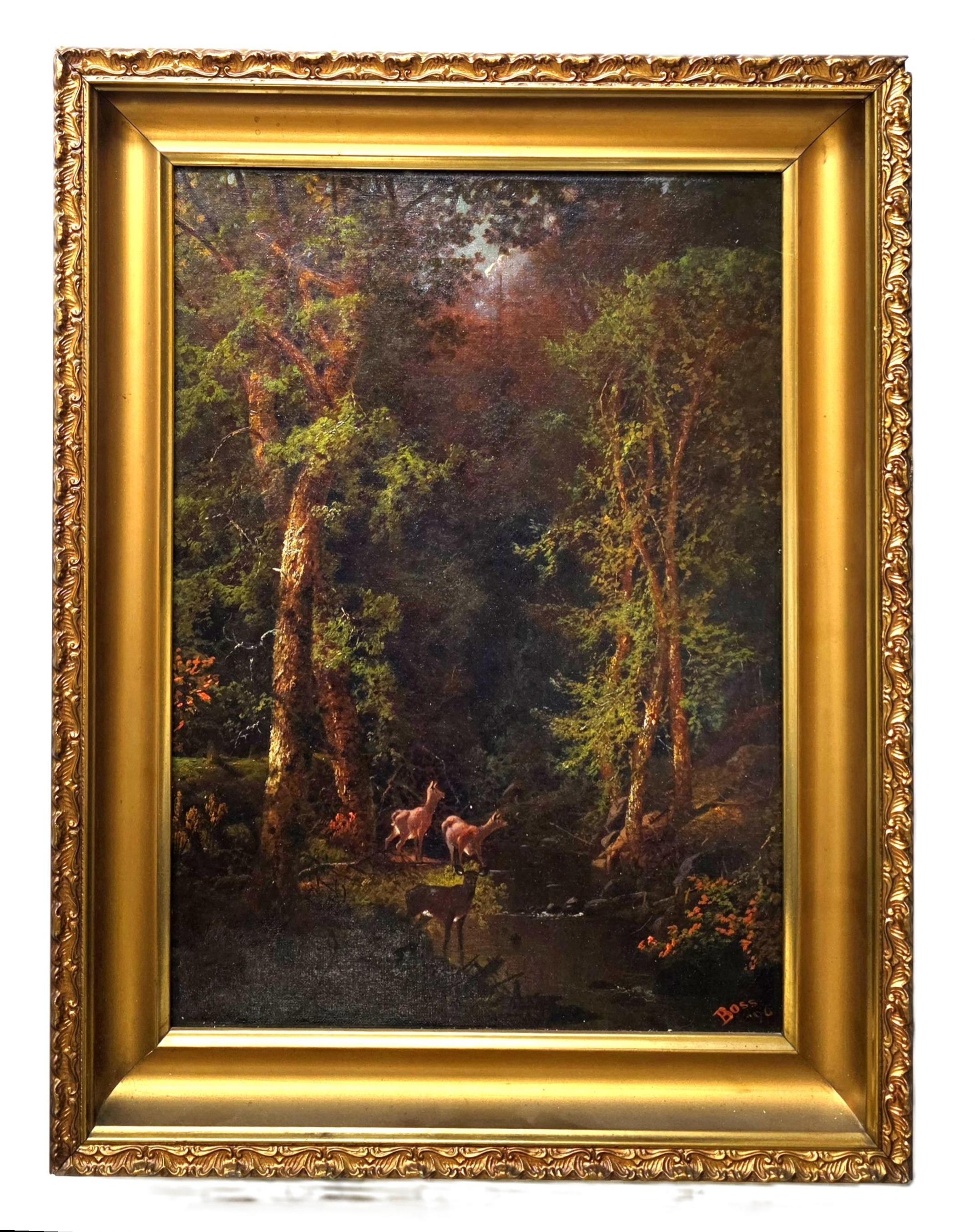 Woodland Tranquility