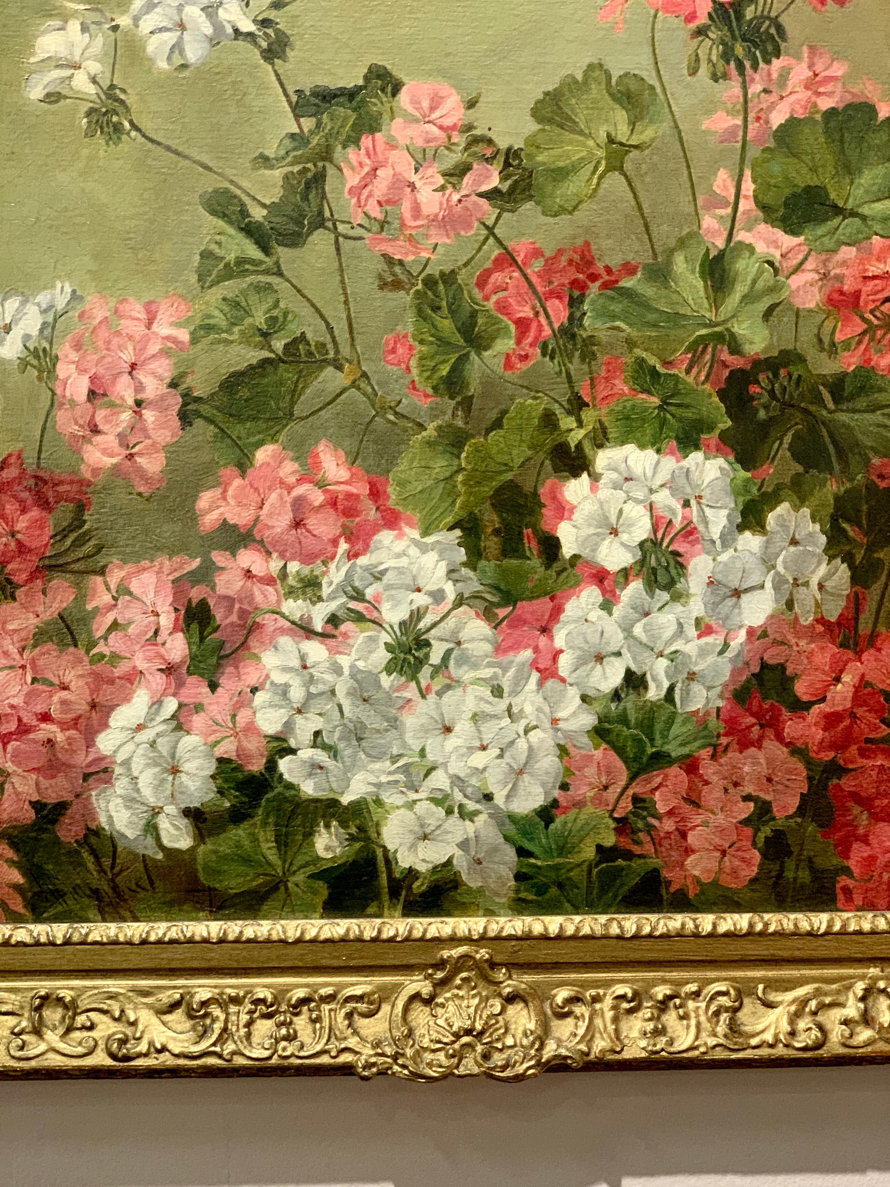 19th century Antique English study of  Pink and White Geranium Flowers - Painting by Henry Wallace