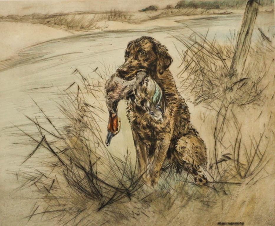 Henry Wilkinson RE (1921-2011) - Framed 20th Century Etching, Golden Labrador For Sale 1