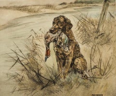 Henry Wilkinson RE (1921-2011) - Framed 20th Century Etching, Golden Labrador