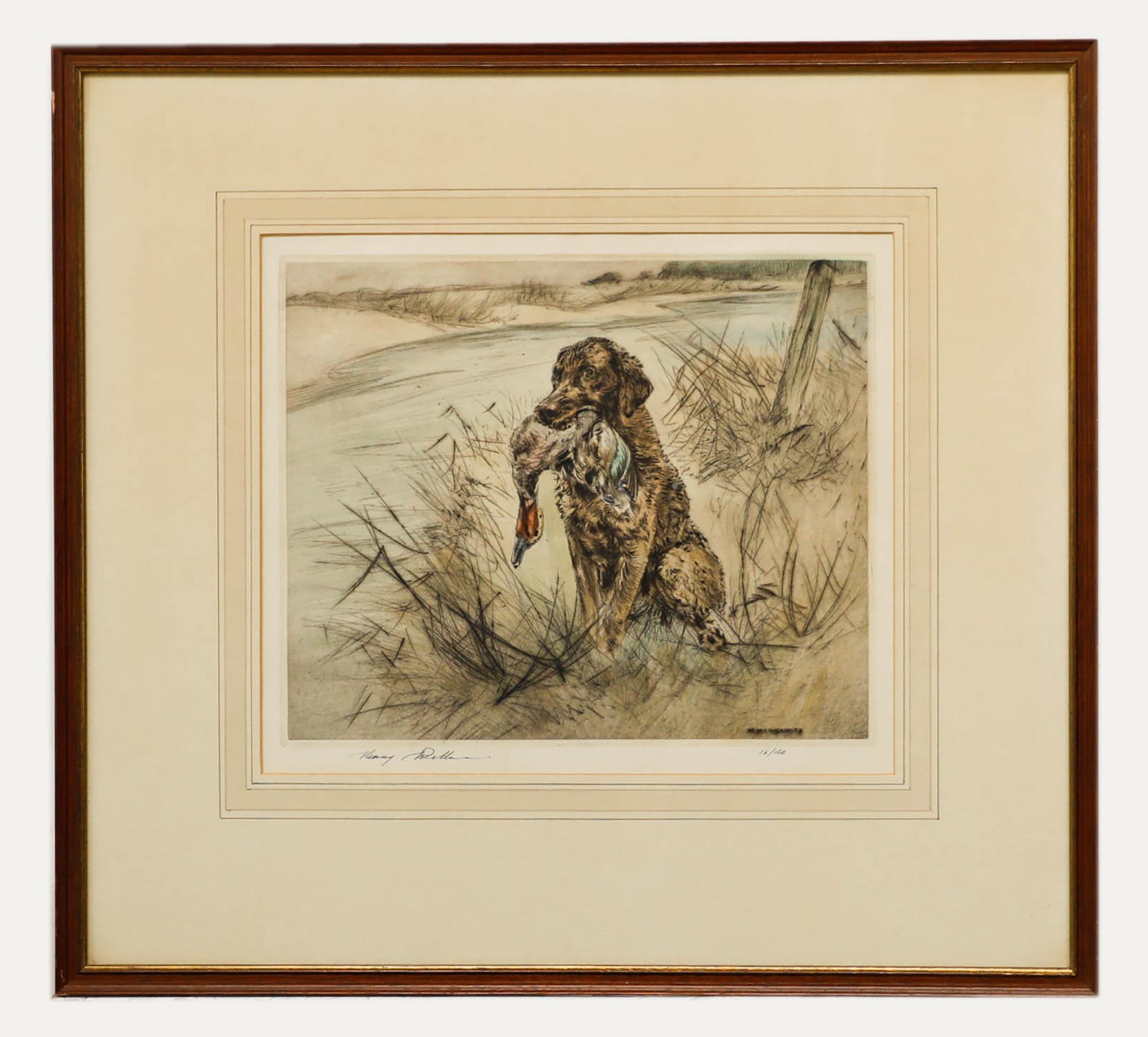 Henry Wilkinson RE (1921-2011) - Framed 20th Century Etching, Golden Labrador