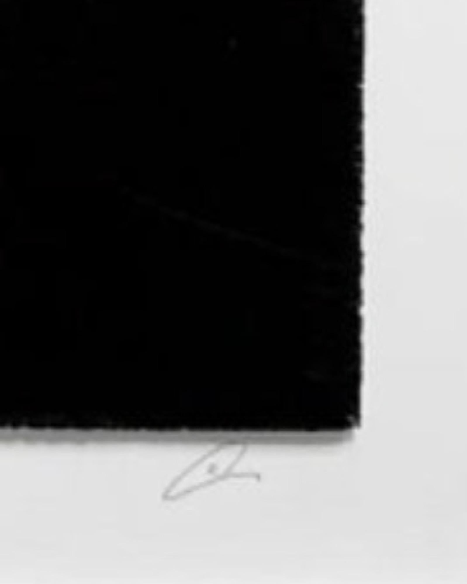Breaking Down The Fall - Original Minimalist Abstract Textured Painting on Canva - Black Abstract Painting by Henry Woolway