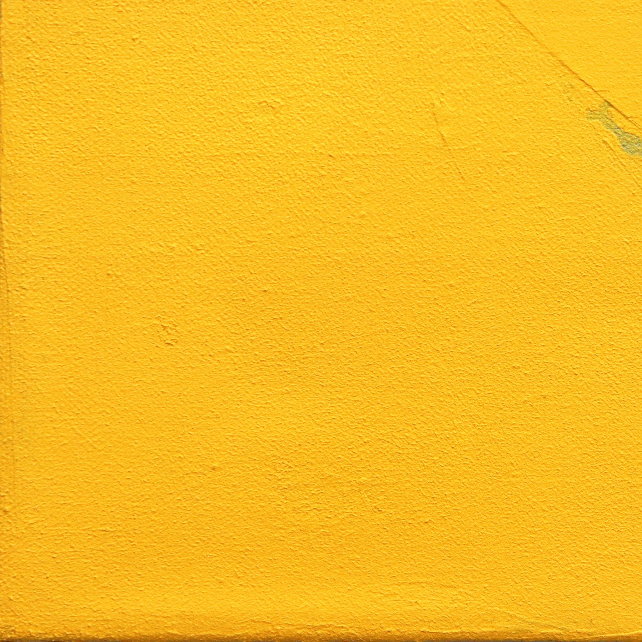 Abeja (Díptico) - Pintura Abstracta Grande Negro Blanco Amarillo en venta 2
