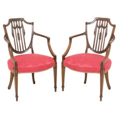 Hepplewhite Arm Chairs - Antique Mahogany Circa 1900