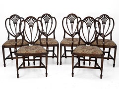 Hepplewhite Set of 6 Mahogany Dining Chairs Carver Armchairs c.19th Victorian