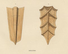 Heraldic Harmony: Shields and Effigies of Medieval Nobility, 1847