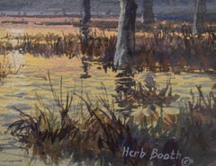 "MALLARD PASTURE" by Herb Booth Ducks, Geese in flight scene