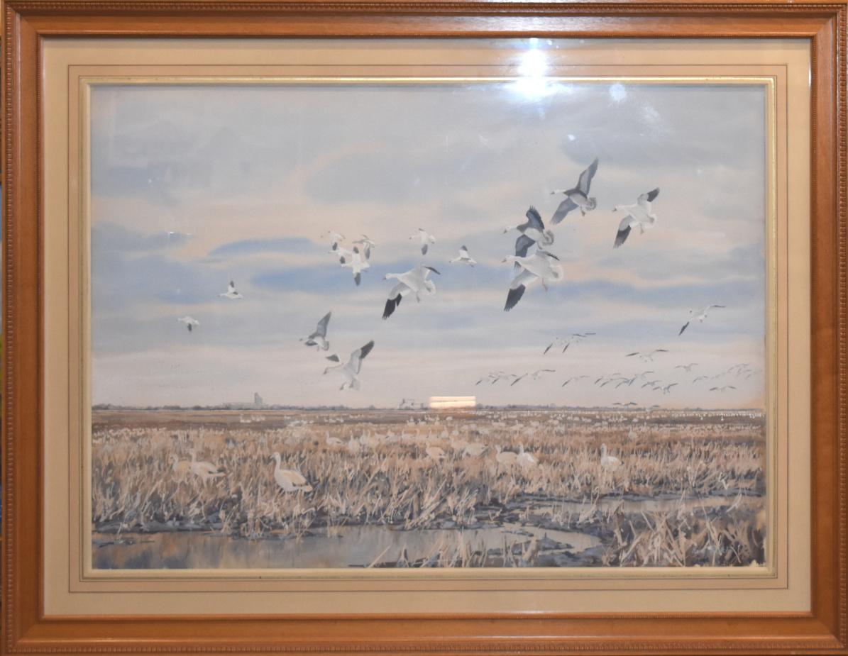 TEXAS WATERFOWL ARTIST HERB BOOTH HOUSTON GEESE. WATERFOWL. DUCKS 39 X 51 FRAMED - Painting by Herb Booth