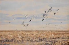 Retro TEXAS WATERFOWL ARTIST HERB BOOTH HOUSTON GEESE. WATERFOWL. DUCKS 39 X 51 FRAMED