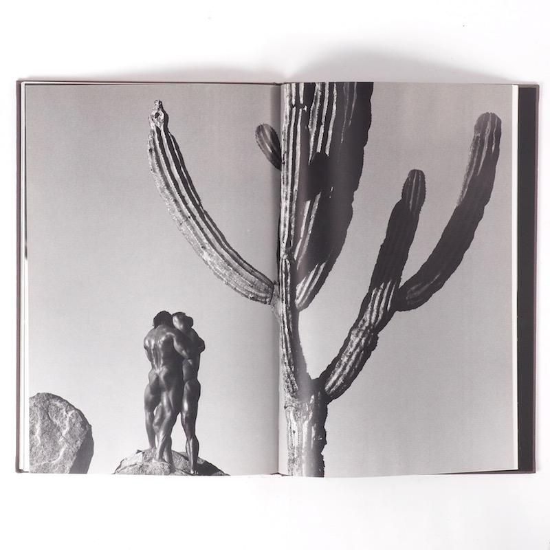 herb ritts duo book