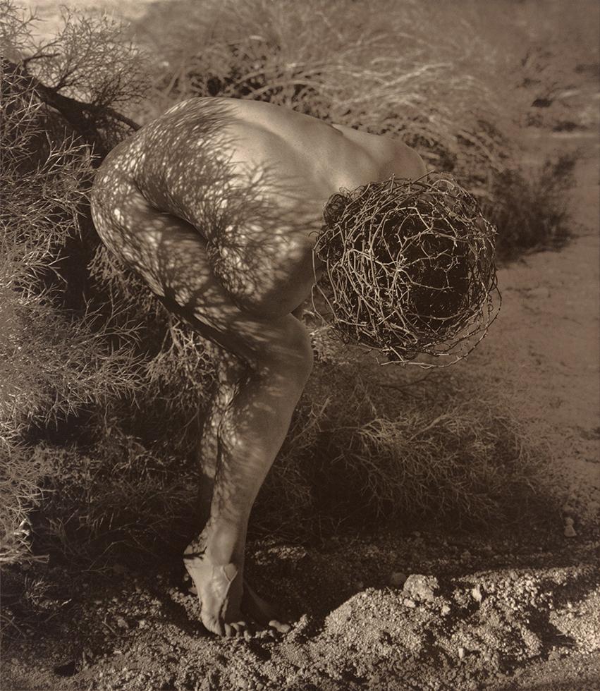Herb Ritts Figurative Photograph - Male Nude with Thorns, Joshua Tree