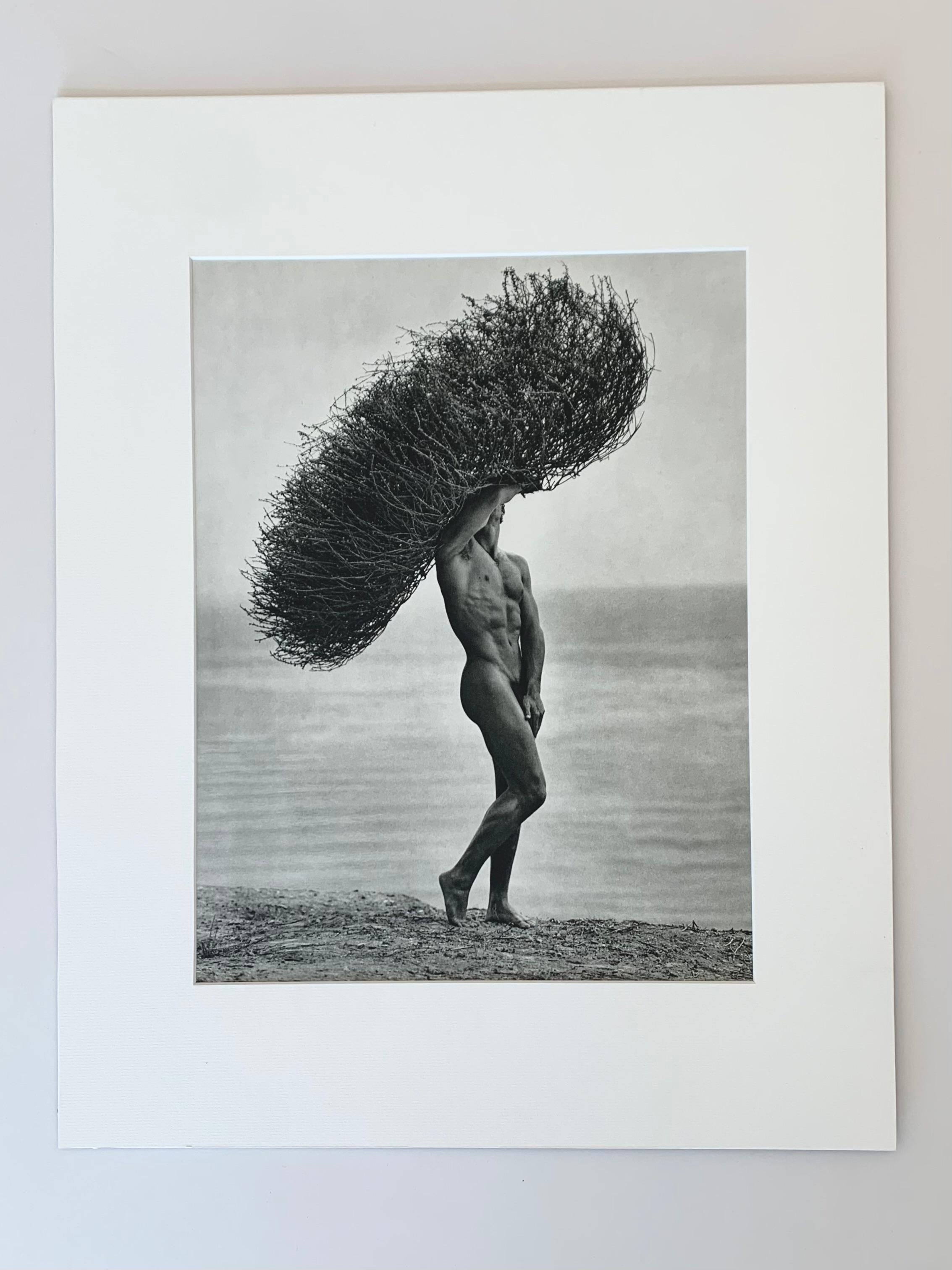 herb ritts prints