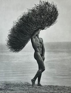 Nu masculin avec bourgeons de bourdon, Paradise Cove par Herb Ritts, imprimé vintage