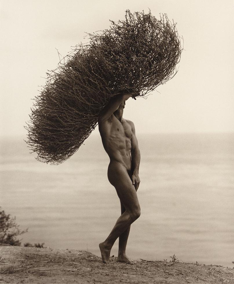 Herb Ritts Black and White Photograph - Male Nude with Tumbleweed, Paradise Cove