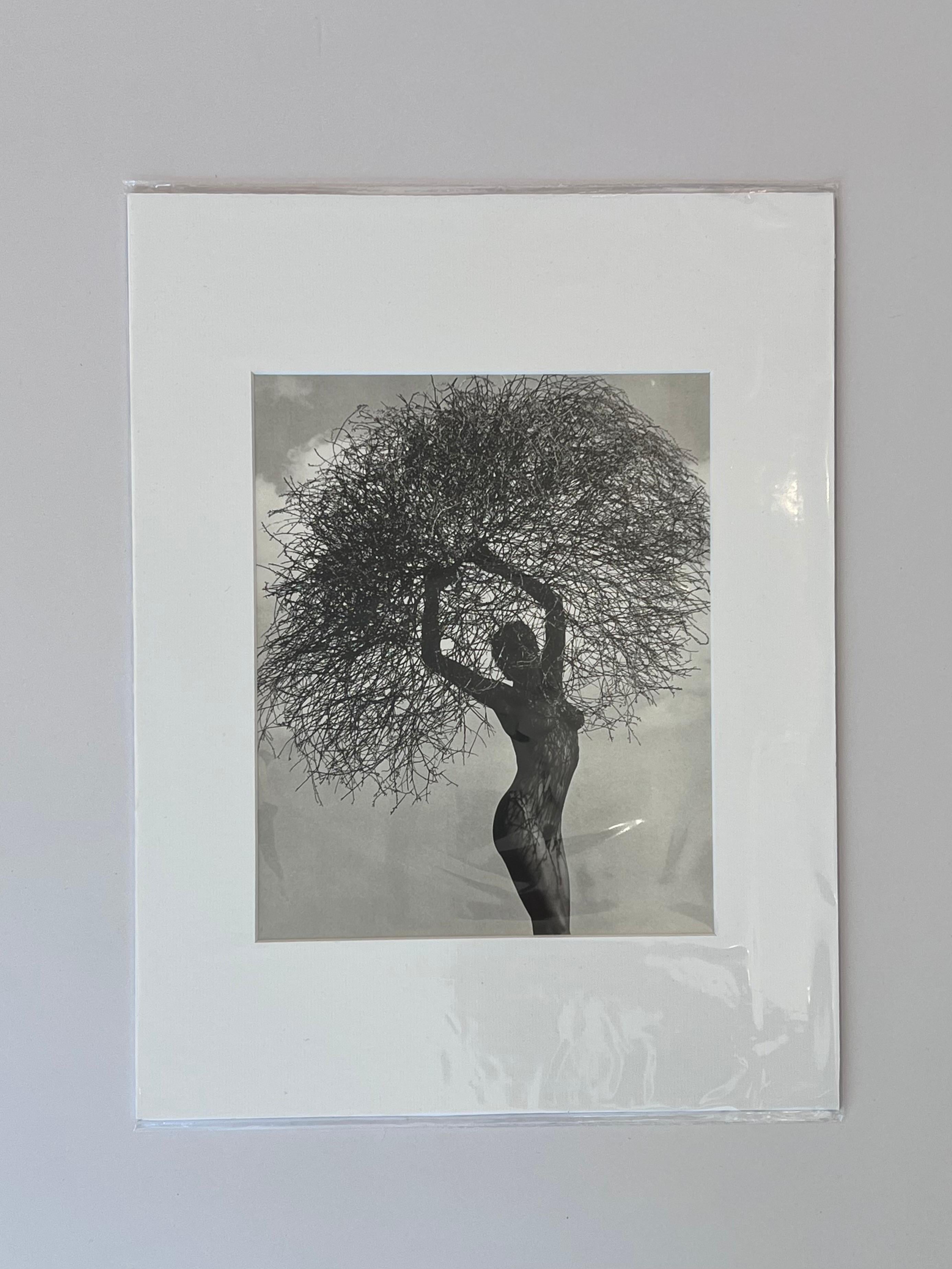 Nude with Tumbleweed by Herb Ritts Vintage print 1