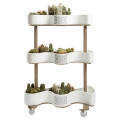 Vertical garden cart of ceramic and beech wood from the SoShiro Ainu collection
