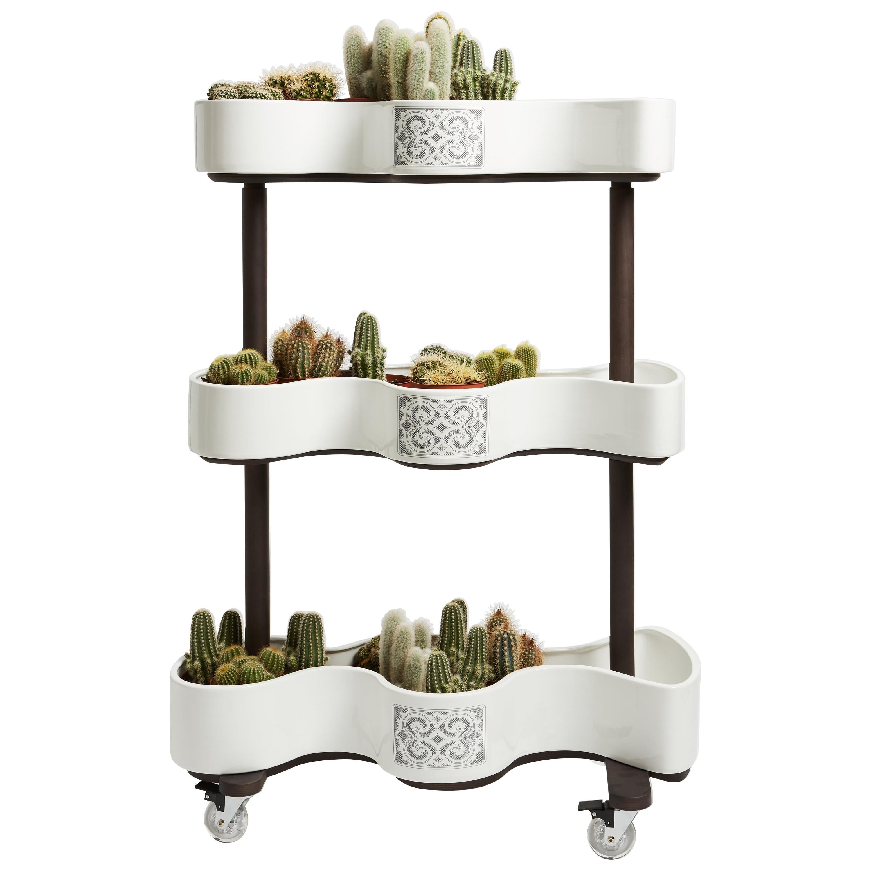 Vertical garden of ceramic and turtledove grey wood from SoShiro Ainu collection For Sale