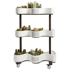 Vertical garden of ceramic and turtledove grey wood from SoShiro Ainu collection