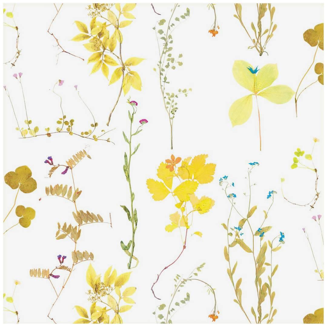 Herbario Designer Wallpaper in Canary 'Multicolor Yellows on White'