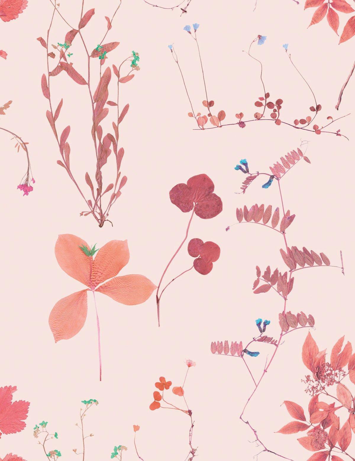 Designer-Tapete in Peché 'Rote und rosafarbene mehrfarbige Tapete auf Pfirsich' im Zustand „Neu“ im Angebot in Brooklyn, NY