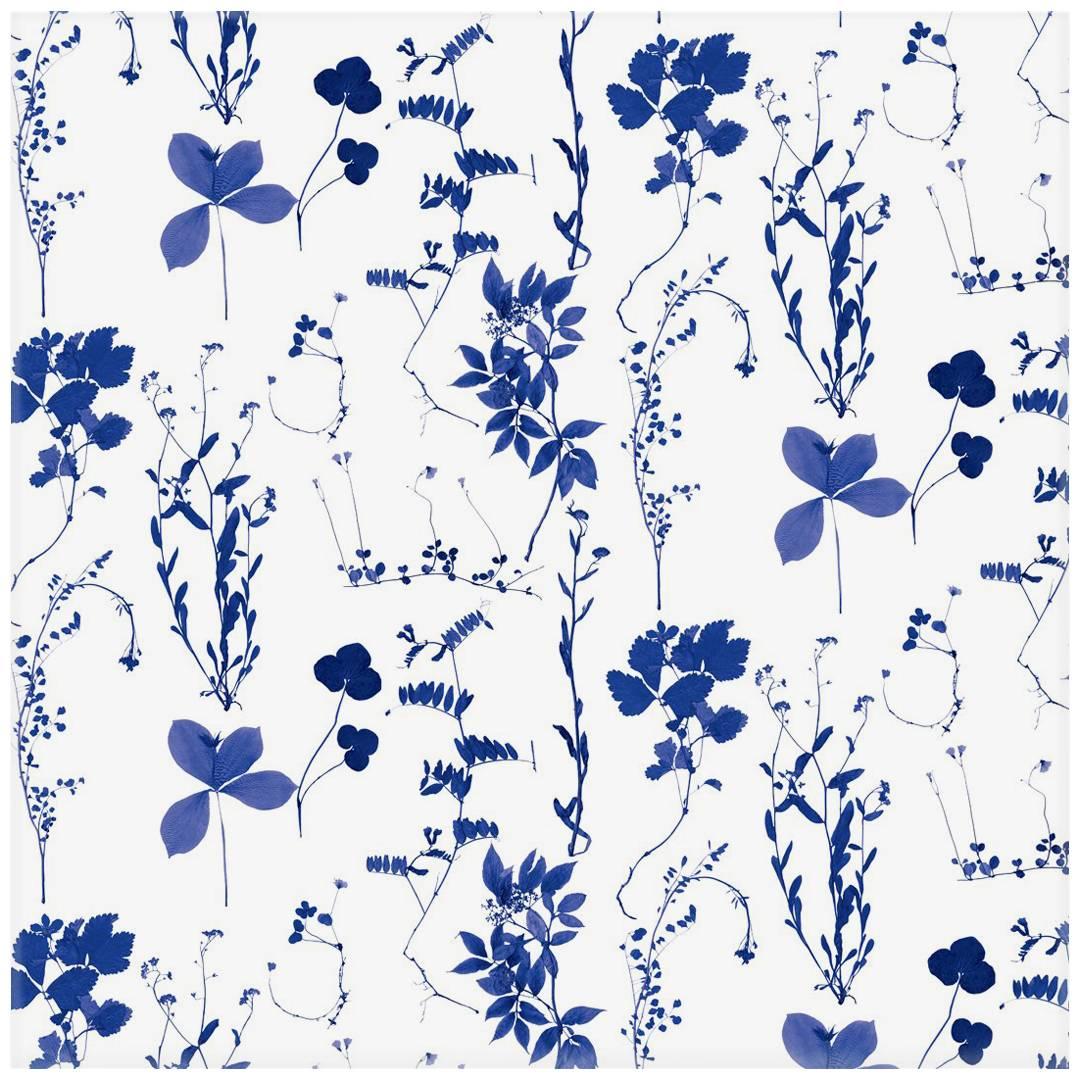 Herbario Designer Wallpaper in Royal 'Multi-Color Blues/Cobalt on White' For Sale