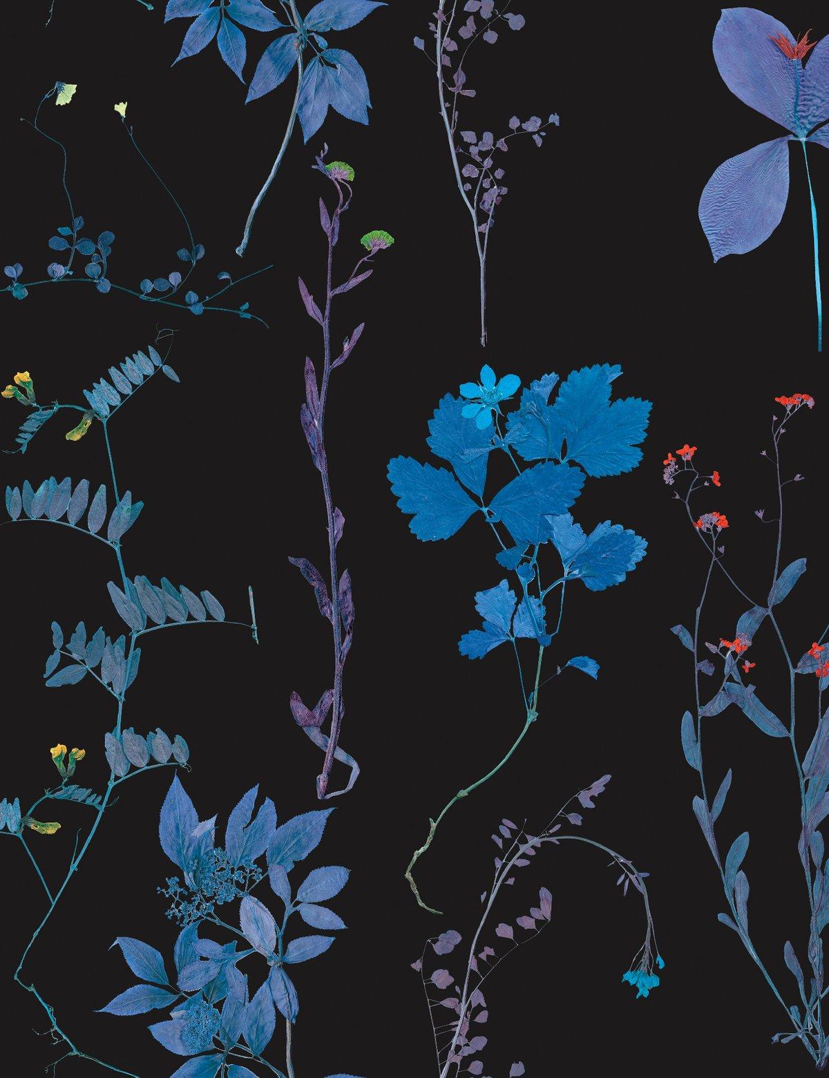 Designer-Tapete „Multicolor Blues on Black“ von Herbario in Tesla Blau (Böhmisch) im Angebot