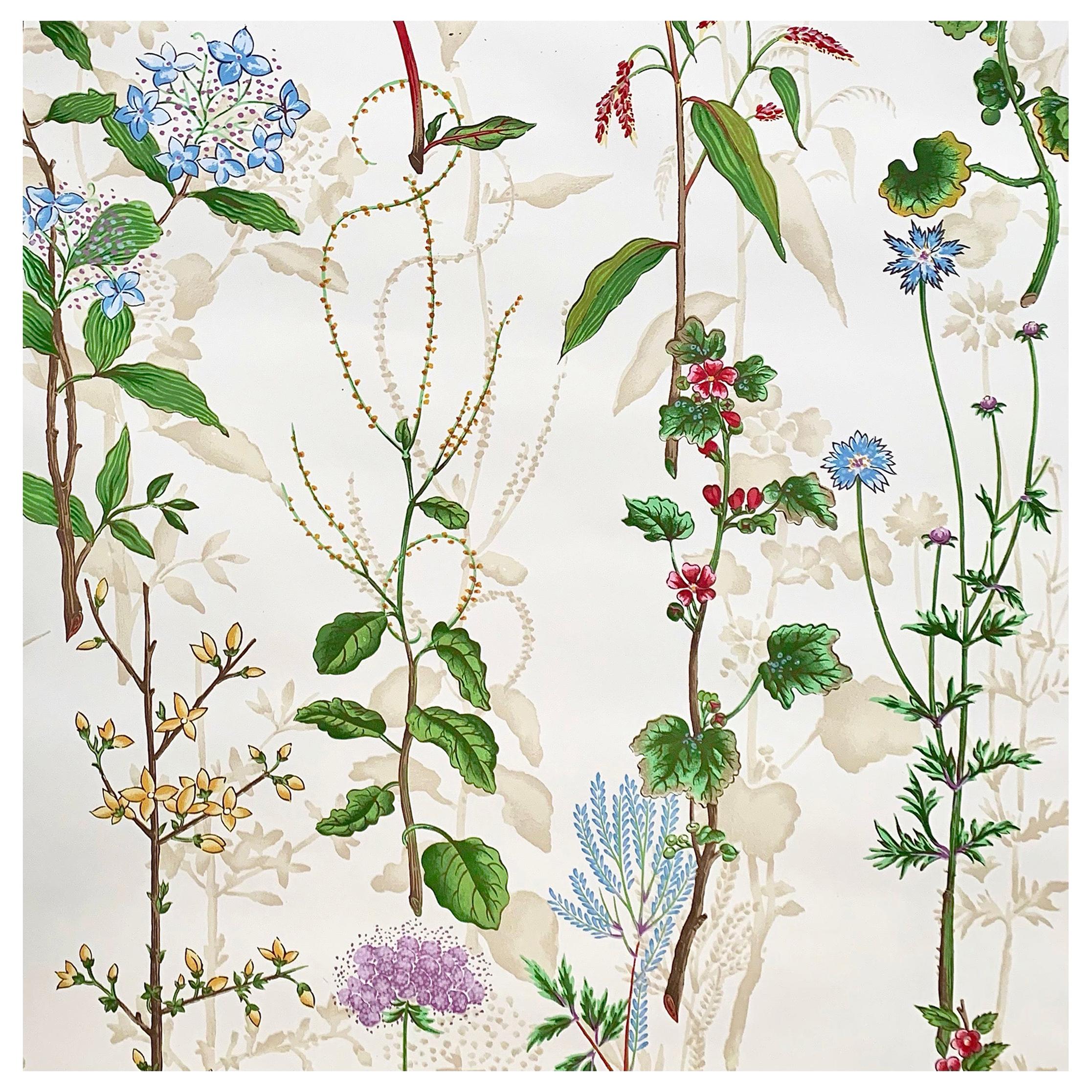 Herbarium of Colette by Clarence House, Vintage Handprinted Floral Wallpaper