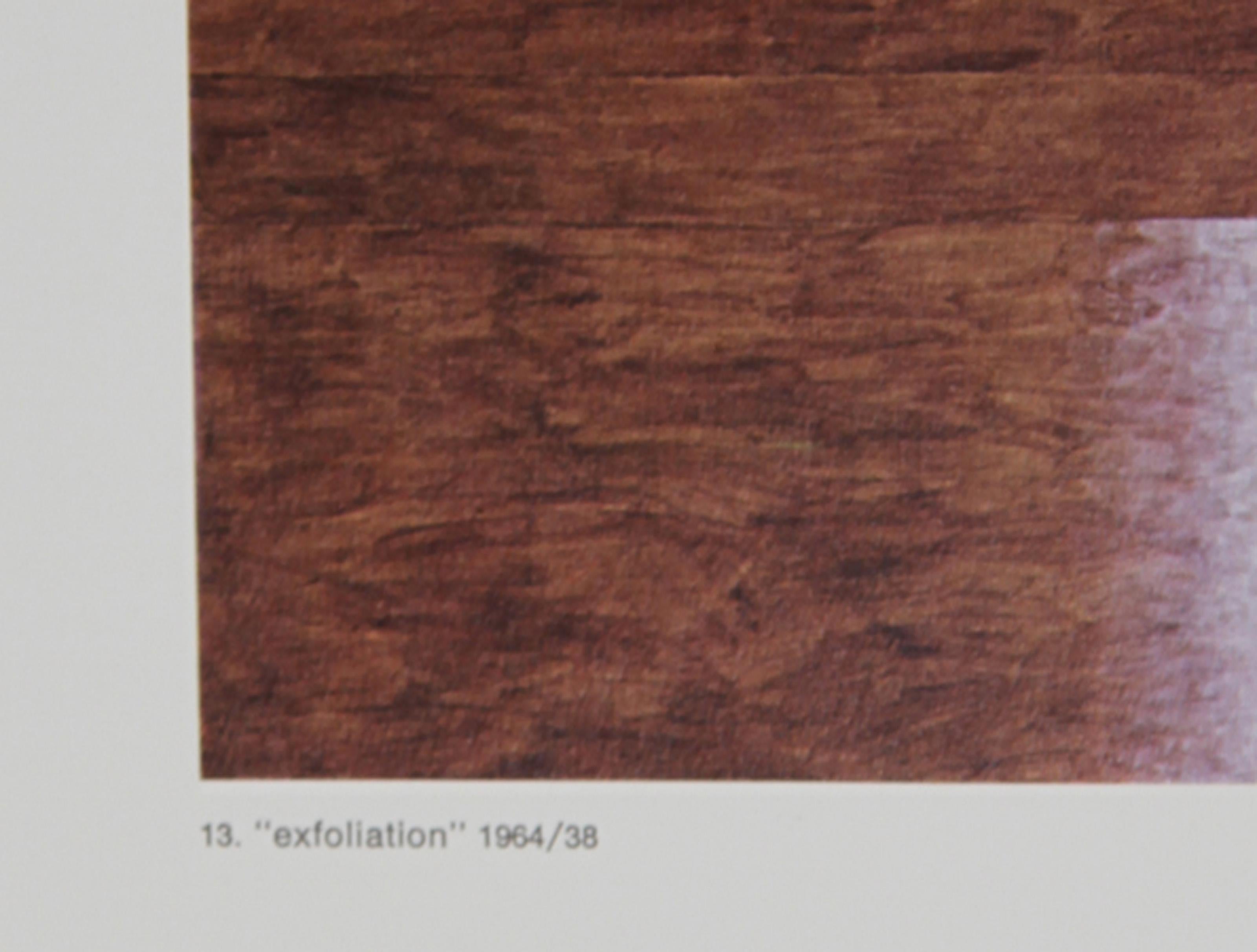 Exfoliation, Minimalist Offset Lithograph by Herbert Bayer For Sale 1