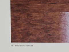 Exfoliation, Minimalist Offset Lithograph by Herbert Bayer