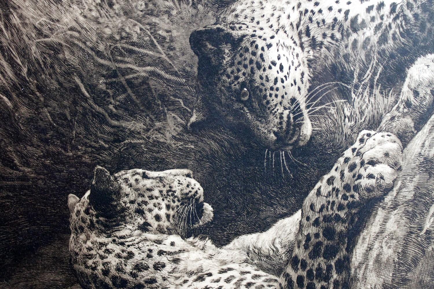 Antique Black and White Etching with Leopards Playing  - Print by Herbert Dicksee