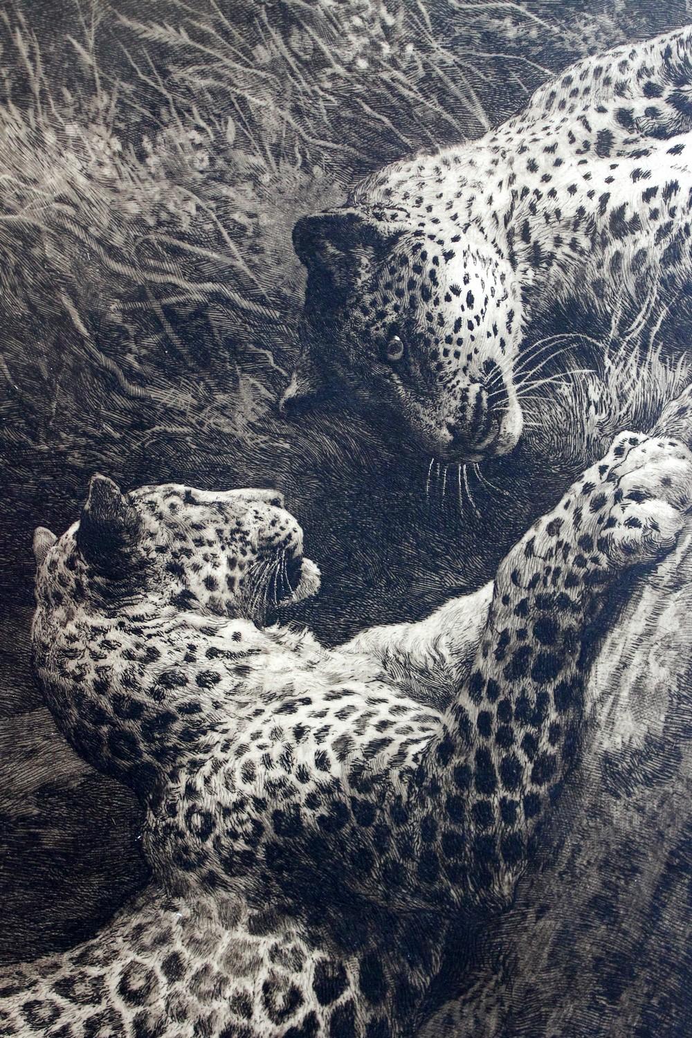 Antique Black and White Etching with Leopards Playing  - Art Nouveau Print by Herbert Dicksee