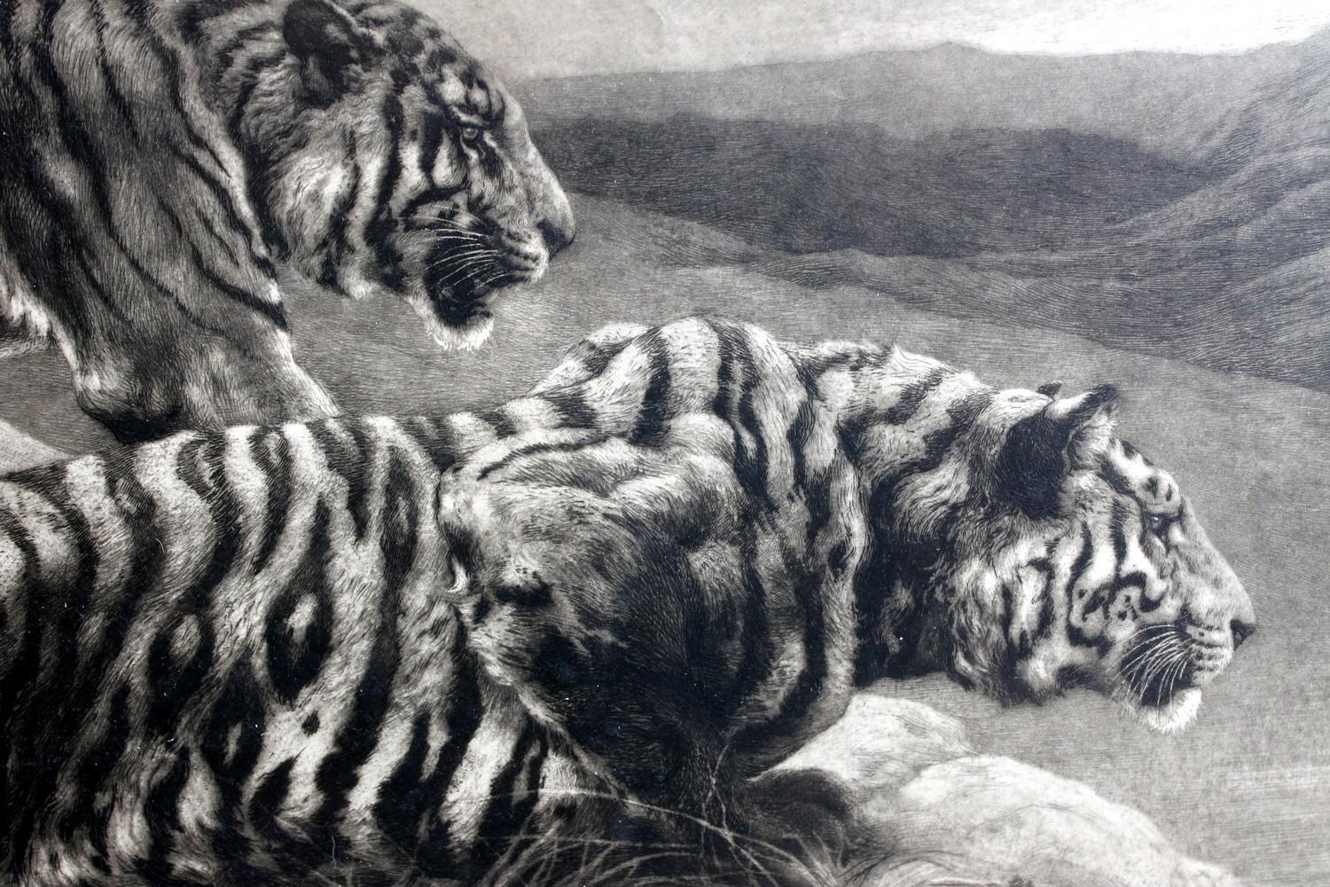 Black and White Etching with Tigers, the Destroyers - Print by Herbert Dicksee