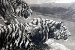 Black and White Etching with Tigers, the Destroyers