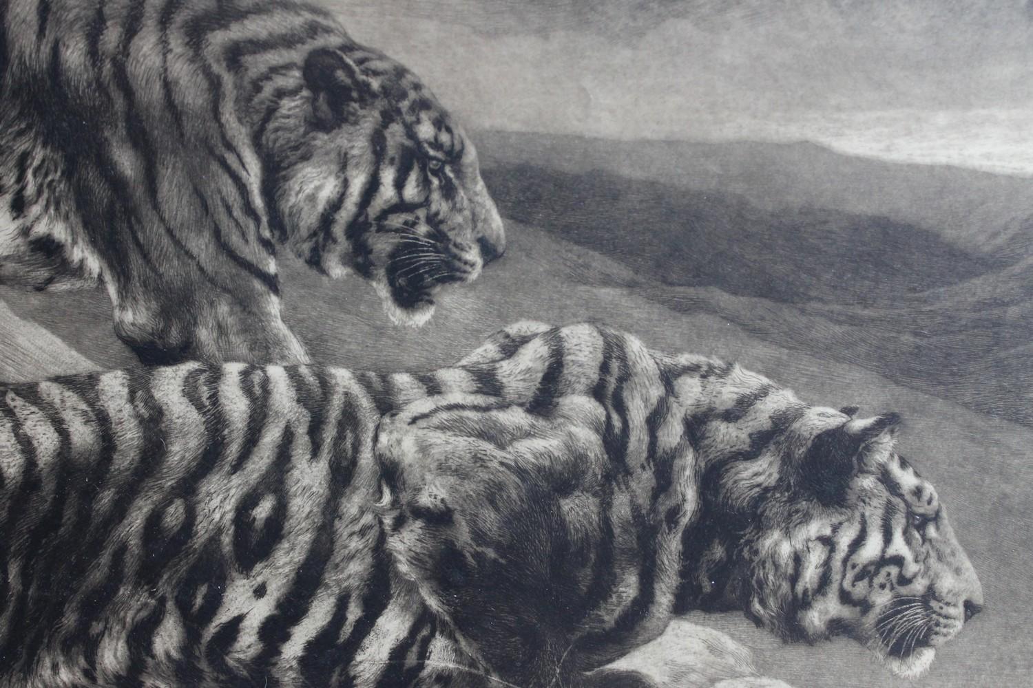Black and White Etching with Tigers, the Destroyers 3