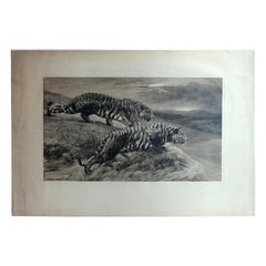 Black and White Etching with Tigers, the Destroyers