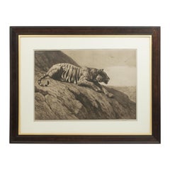 Herbert Dicksee Tiger Engraving, 'The Watcher on the hill', 1904 Frost and Reed