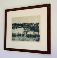 Herbert Fink, "Annies Garden, Etching" on Paper, 1979