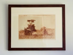 Herbert Fink, Lonesome Pine, Etching on Paper, 1979