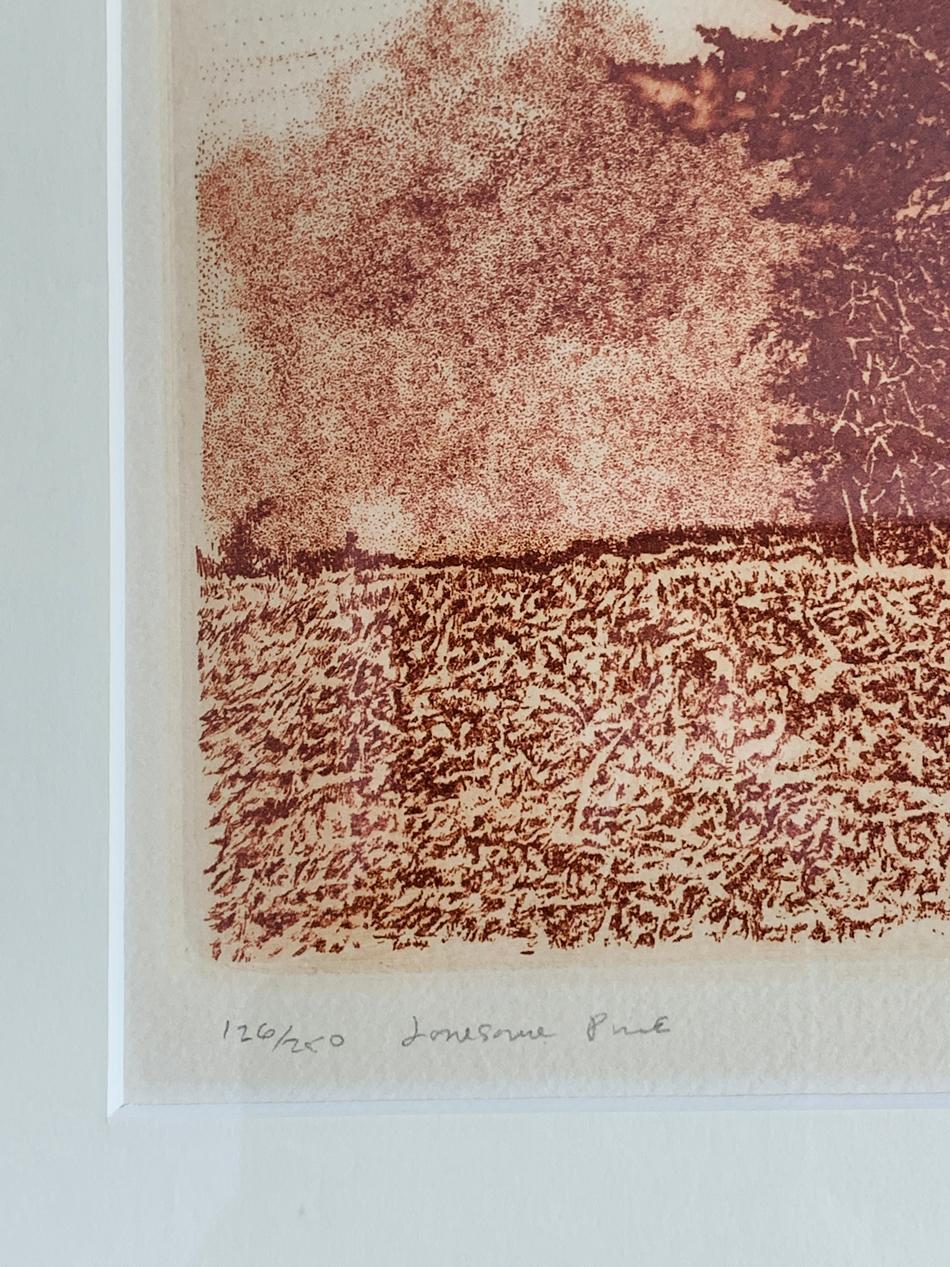 Americano Herbert Fink, Pino solitario, acquaforte su carta, 1979 in vendita