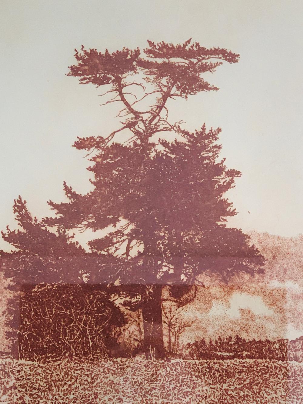 Modern Herbert Fink, Lonesome Pine, Etching on Paper, 1979 For Sale