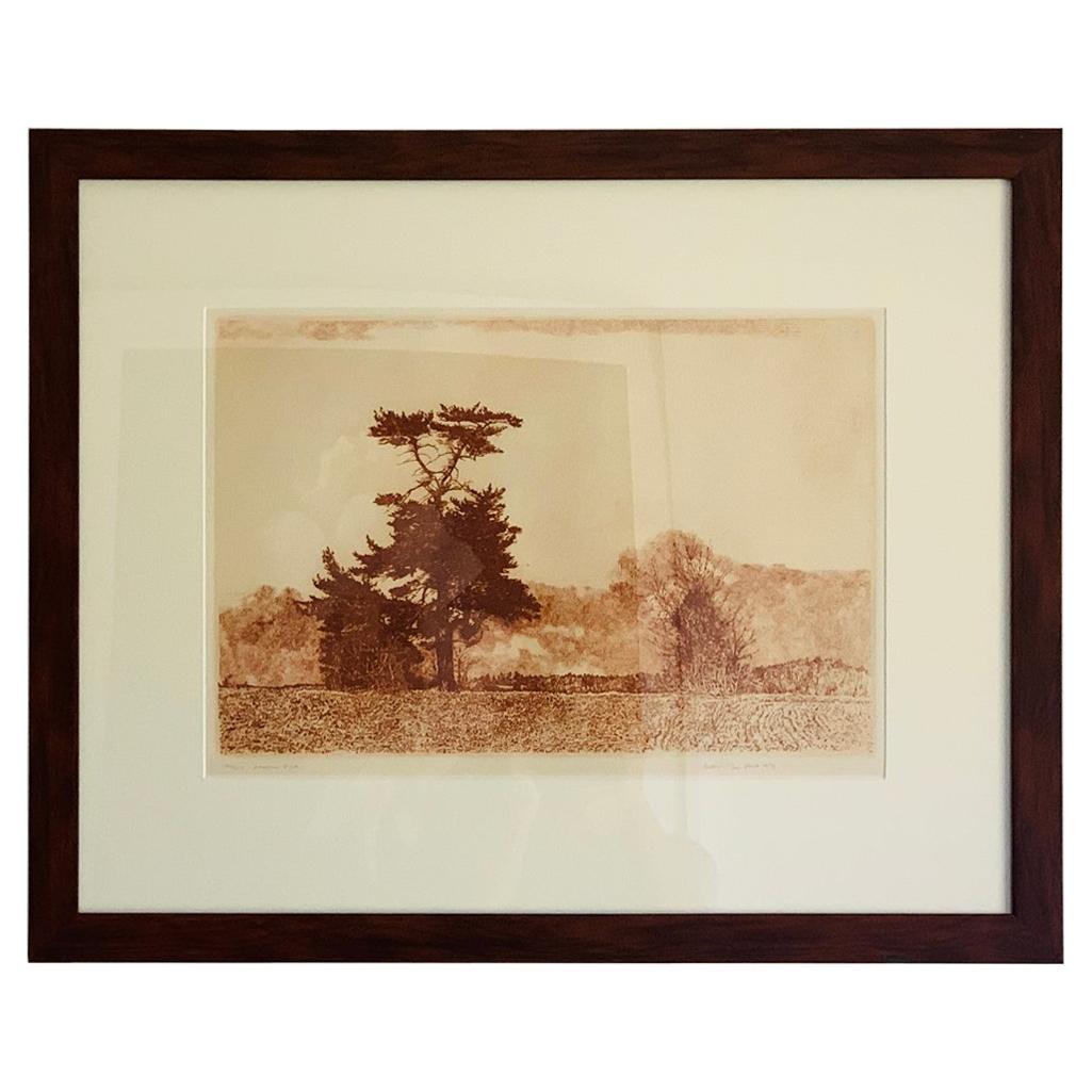 Herbert Fink, Lonesome Pine, Etching on Paper, 1979 For Sale
