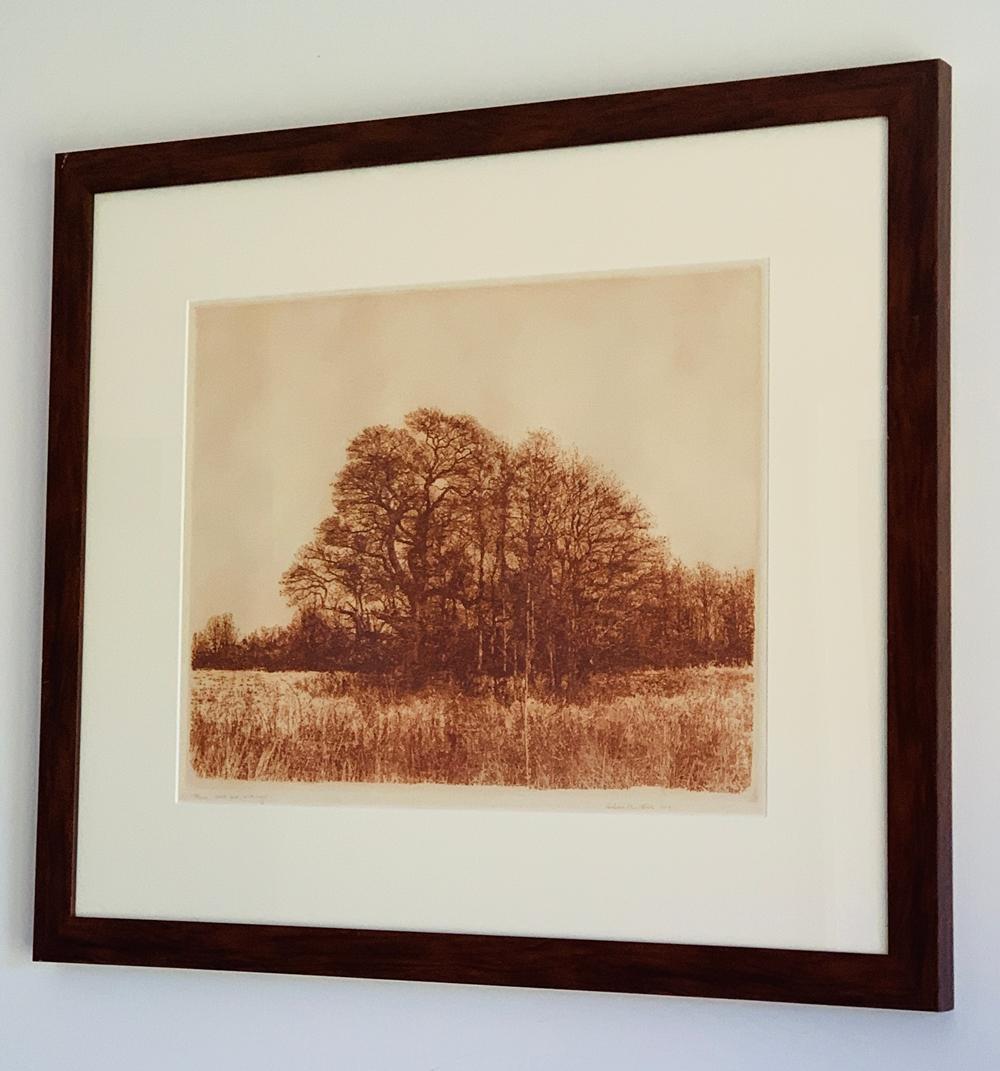 Limited edition pencil signed and numbered 174/250 original fine art etching by the very well listed artist and print maker Herbert Fink. This is signed and dated in the lower right 