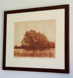 Herbert Fink, Oaks and Hideaways, Etching on Paper, 1979