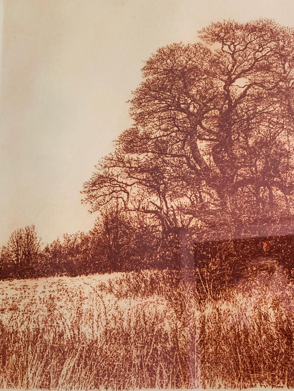 Etched Herbert Fink, Oaks and Hideaways, Etching on Paper, 1979