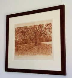 Herbert Fink, Shadow of an Elko, Etching on Paper, 1979