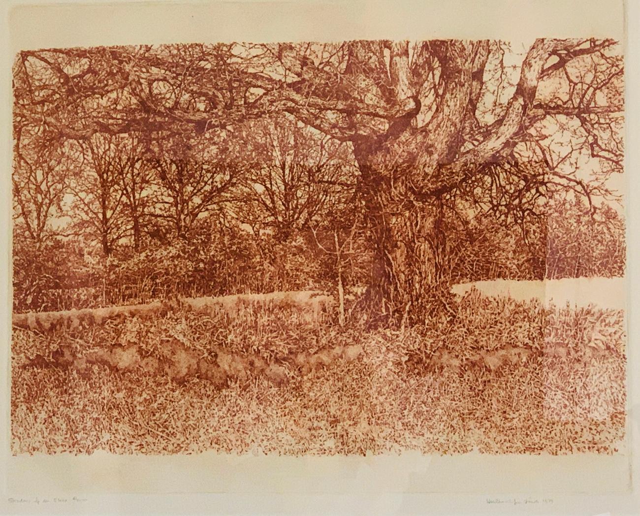 American Herbert Fink, Shadow of an Elko, Etching on Paper, 1979 For Sale